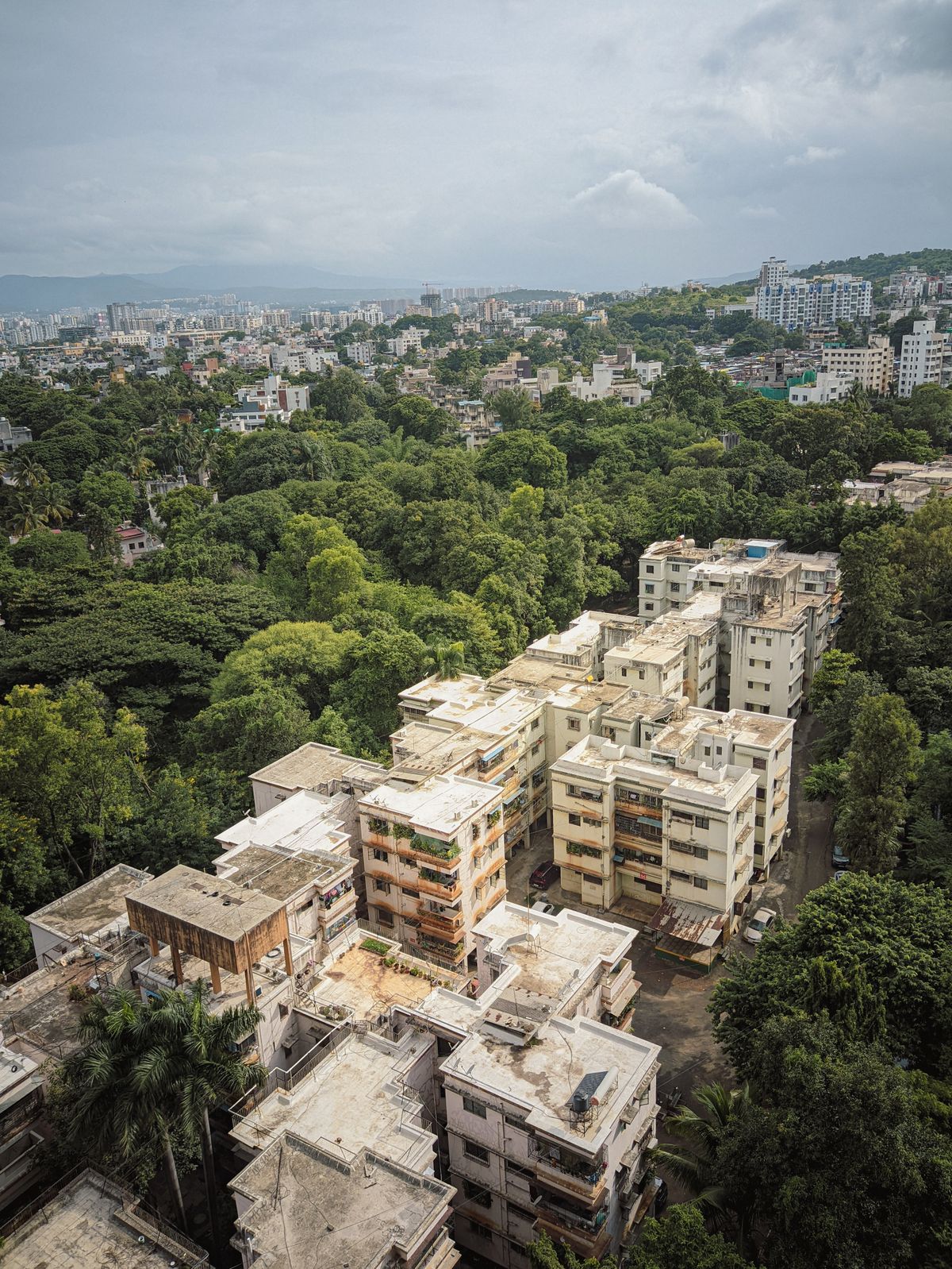 Apartment buildings surrounded by dense trees in Pune, seen from above