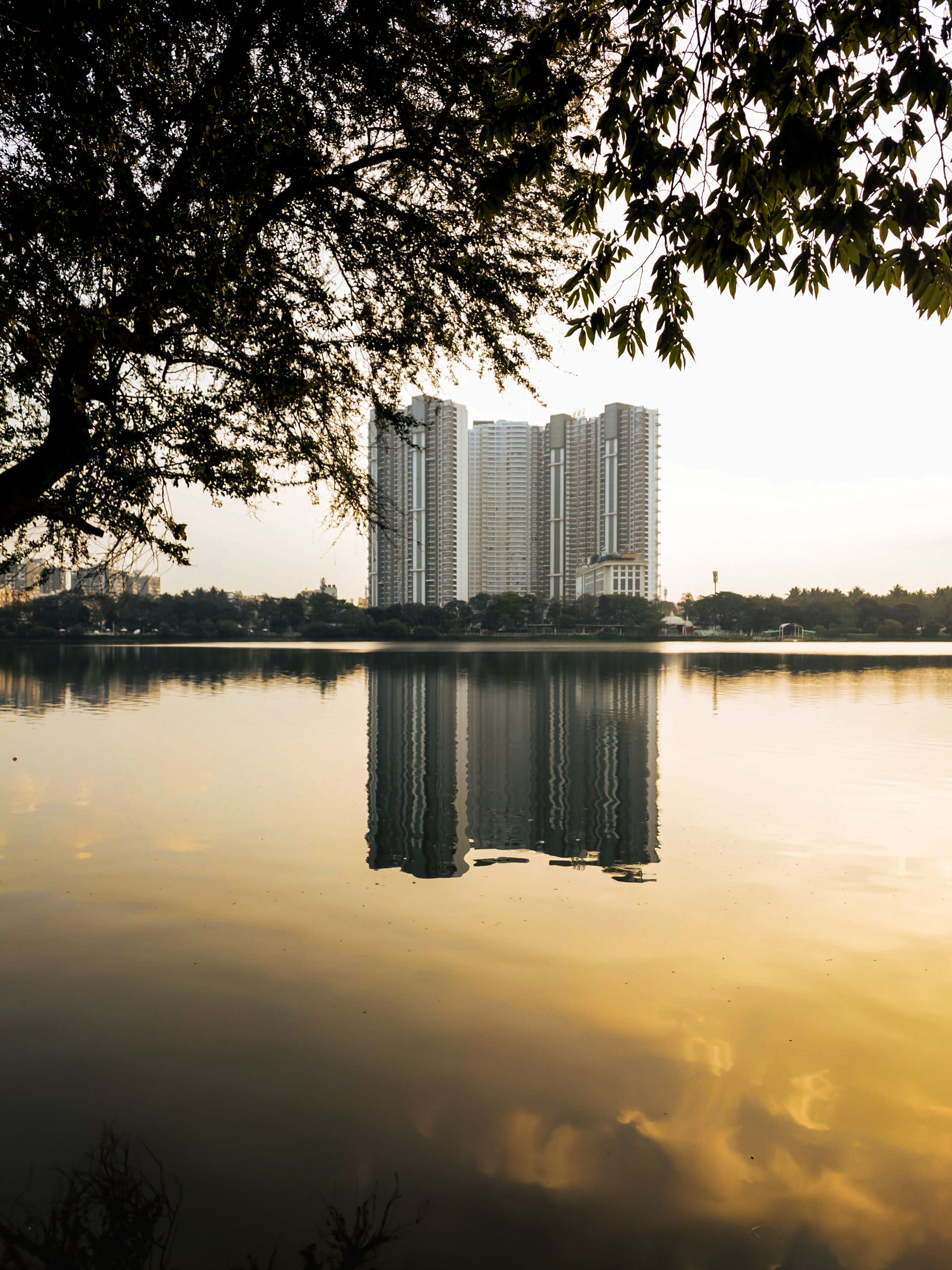 High-rise residential towers reflected in a lake at sunset