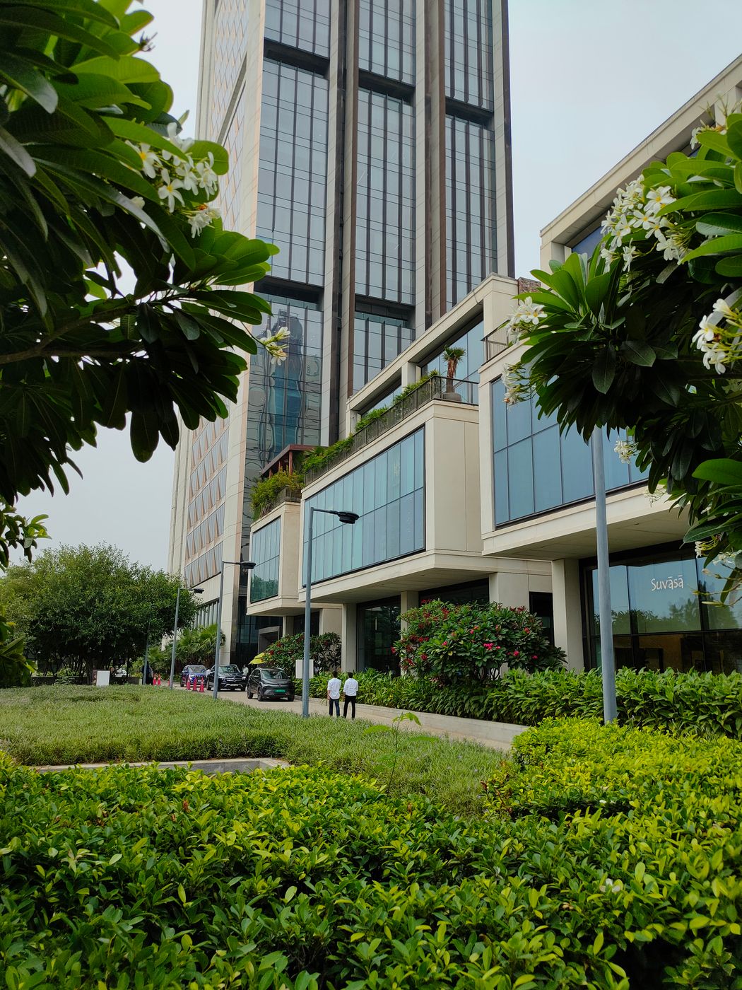 Modern office building set among landscaped greenery